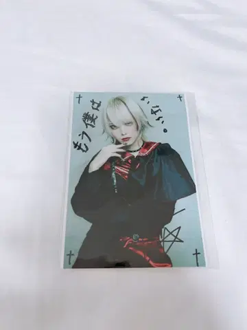 마큐로 코야 제라 브로마이드 사인 포함