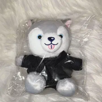 미개봉 새상품 SixTONES 마츠무라 호쿠토 노키도아 봉제 인형