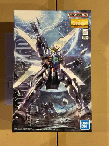 건담 프라모델 MG 1/100 건담X 기동신세기 건담X