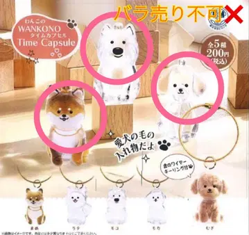 마메 모코 무기 강아지의 타임캡슐 가챠가챠 개 털 반려견