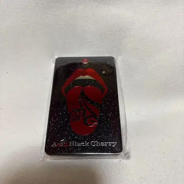 새상품 Acid Black Cherry 패스 케이스