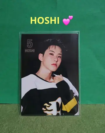 SEVENTEEN 호시 HOSHI