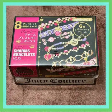 Juicy Couture 주얼리 참 팔찌 박스