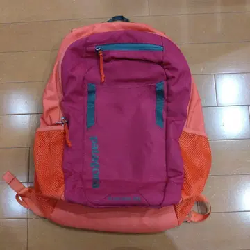 새상품급 patagonia 파타고니아 20리터 백팩