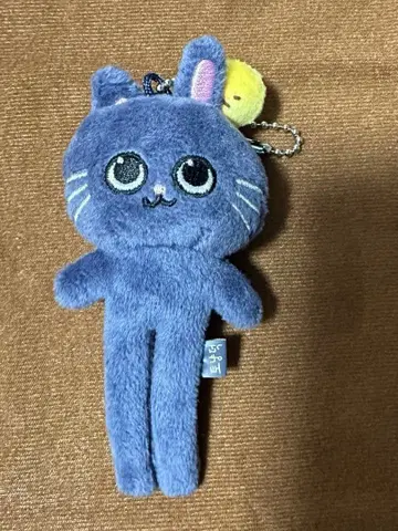 RIIZE 원빈 냥덕 발길이 키링