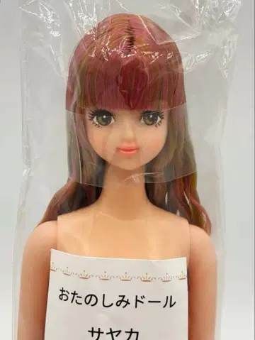 사야카 리카짱 캐슬 오타노시미 인형 브라운 계열 눈 제니 프렌드