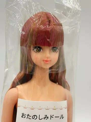 사야카 리카짱 캐슬 오타노시미 인형 브라운 계열 눈 제니 프렌드