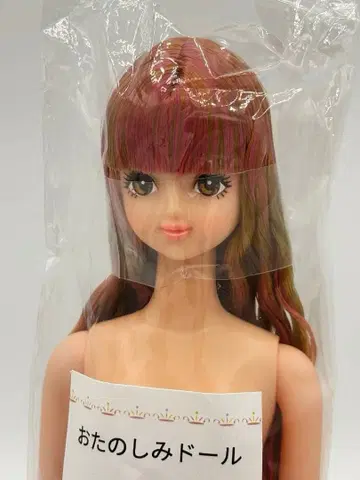 사야카 리카짱 캐슬 오타노시미 인형 브라운 계열 눈 제니 프렌드