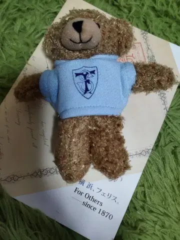 [ 귀중 미사용 새상품 ] 페리스 여자대학 곰돌이