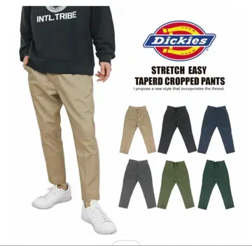 디키즈 TC 스트레치 앵클 이지 팬츠 181M40WD16