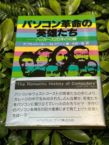 컴퓨터 혁명의 영웅들 젊은이와 컴퓨터 이야기