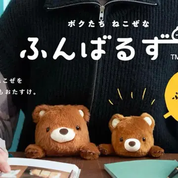 2체 세트 펀바루즈 (M) (L) 곰 익명 배송