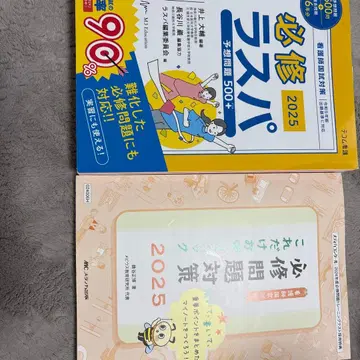 필수 라스파 2025 문제집