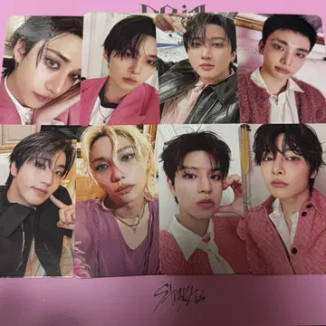 straykids 봉입 트레이딩 카드 컴프 doit