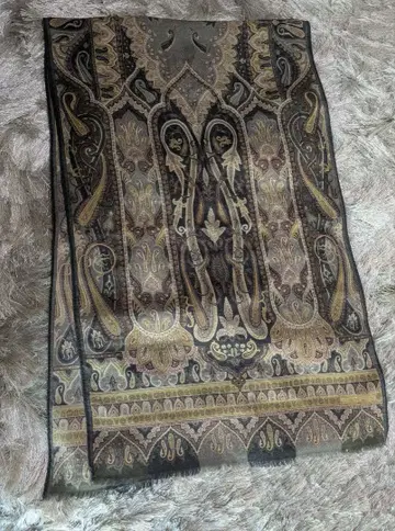 ETRO 울 x 실크 스톨 페이즐리 무늬