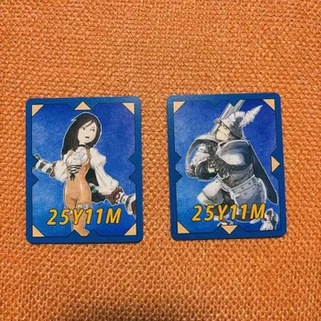 FF9 콰드미스트풍 입장 특전 카드 2장 세트