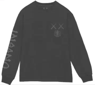 카우스 키드카디 롱 T셔츠 KAWS FOR INSANO M 사이즈