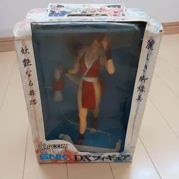 DX 피규어 시라누이 마이