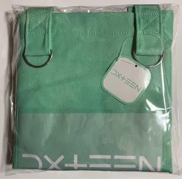 GIGO 한정판 DXTEEN 토트백 새상품