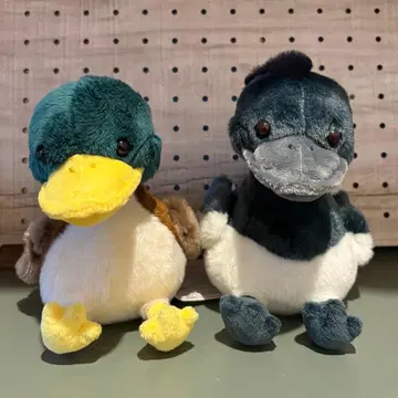 페타페타 오리 부대 봉제 인형 2개 세트