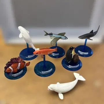 해양 생물 피규어 세트 시마네 아쿠아스