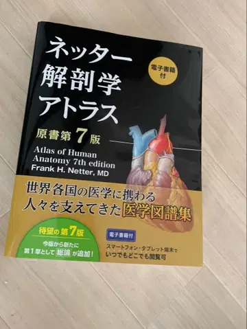 네터 해부학 아틀라스 (원서 제7판)