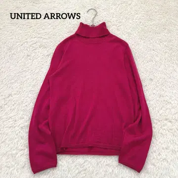 UNITED ARROWS 캐시미어 실크 혼방 터틀넥 빅 사이즈