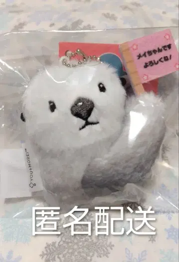 펠리시모 랏코의 메이