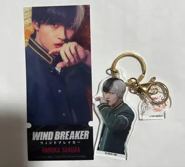 WIND BREAKER 미즈카미 코지 사쿠라 하루카