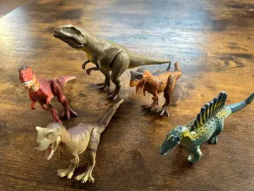 아니아 공룡 5체 세트