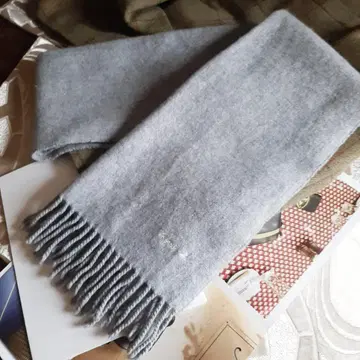 agn s b 머플러 에네스베