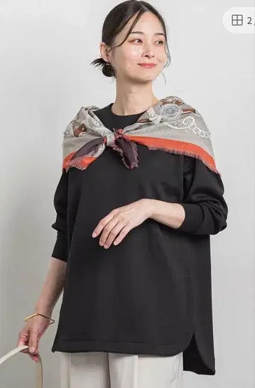 로트레아몽 퐁와리치 풀오버