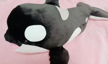 스마 시월드 범고래 복권 1등