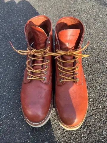 레드윙 9105 아이리쉬 세터 27cm