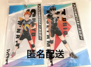 하이큐 아크릴 MEGA 키링