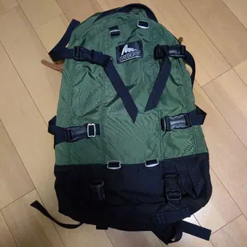 그레고리 데이앤드하프 올리브