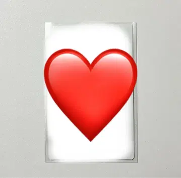 쇼지 코헤이 친필 사인 폴라로이드