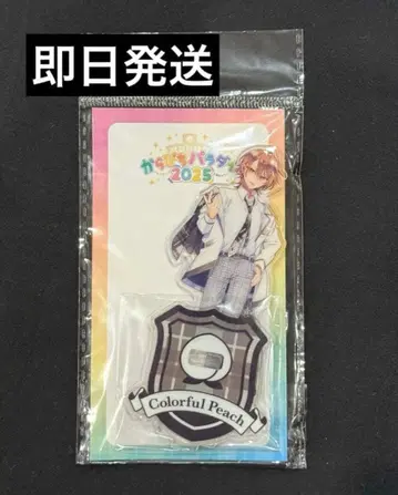 새상품 컬러풀피치 아크릴 스탠드 카라피치 파라다이스2025 우리