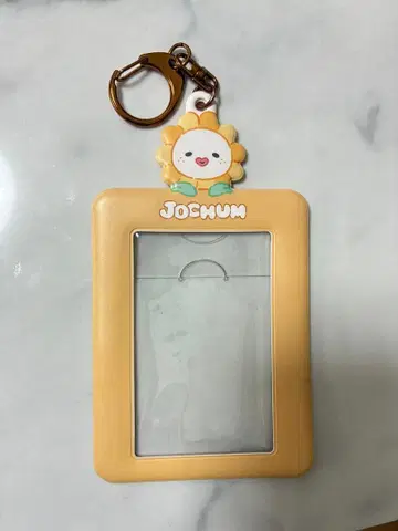 JOCHUM 비라 트레이딩 카드 케이스