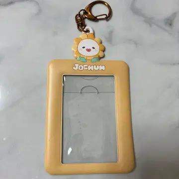 JOCHUM 비라 트레이딩 카드 케이스