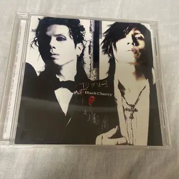 Acid Black Cherry 지그소 FC 한정판