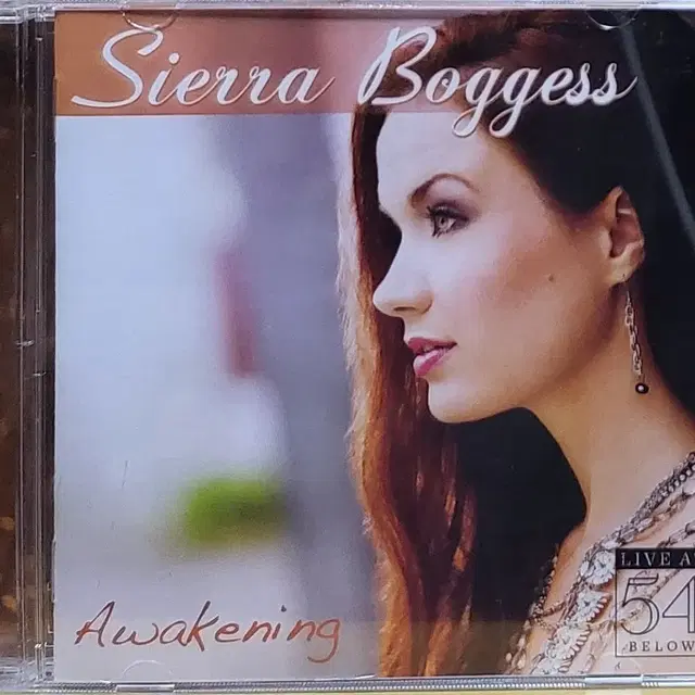 No.133. 시에라 보게스 Awakening 라이브 앨범