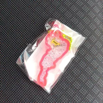 비와코 키링 류오 핑크