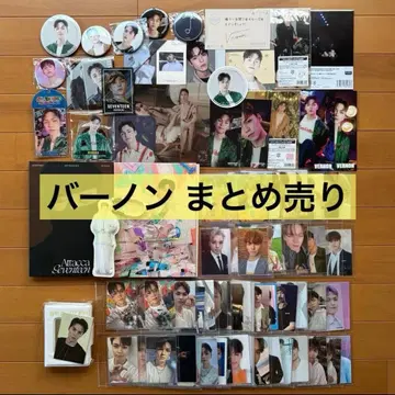 SEVENTEEN 트레이딩 카드 굿즈 묶음 판매 버논 즉시 구매