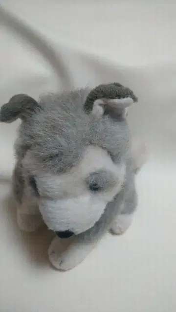 On the grass 개 하스키 봉제 인형 코853