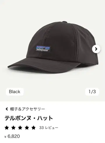 Patagonia 텔본느 햇