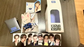 stray kids 스키즈 KARMA SKZOO 폭시니 아이엔