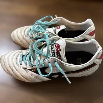 MIZUNO 모렐리아 24cm