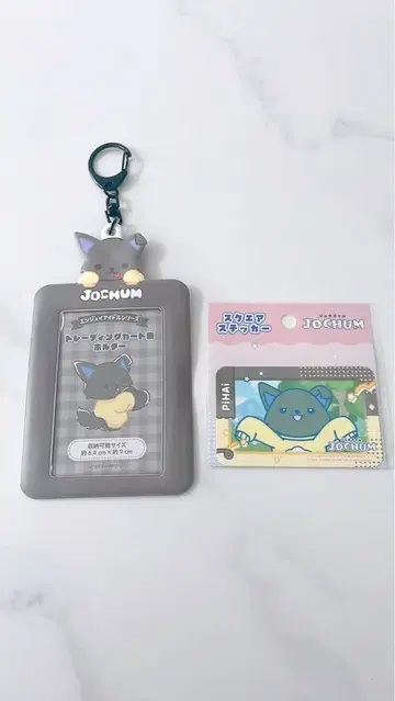 JOCHUM 피하이 트레이딩 카드 케이스