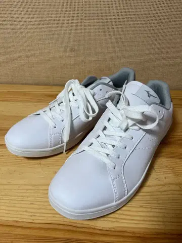 a252/새상품 미즈노 MIZUNO 코트 신발 28cm